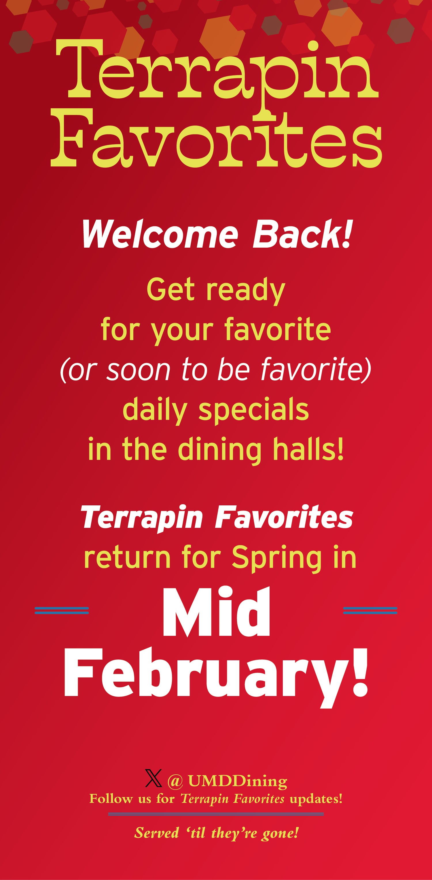 Terrapin Favorites: Spring 2026 Preview