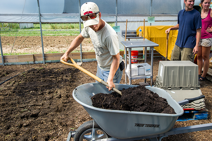 Terp Farm