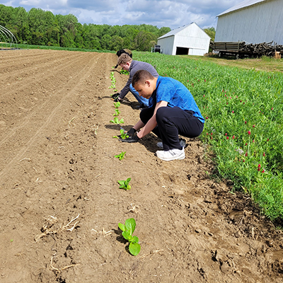 Terp Farm: Student Volunteers planting seedlings