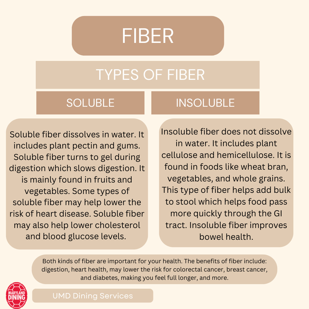 Types of Fiber