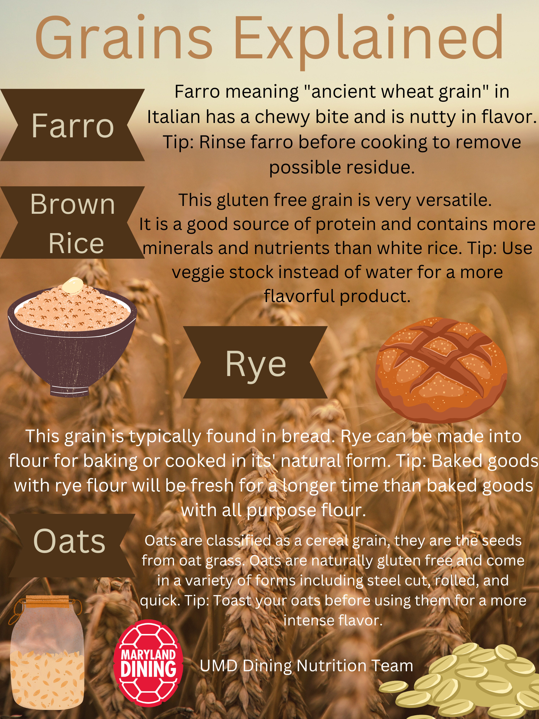 Graphic explaining different types of grains