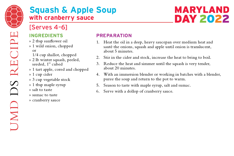 Squash & Apple Soup