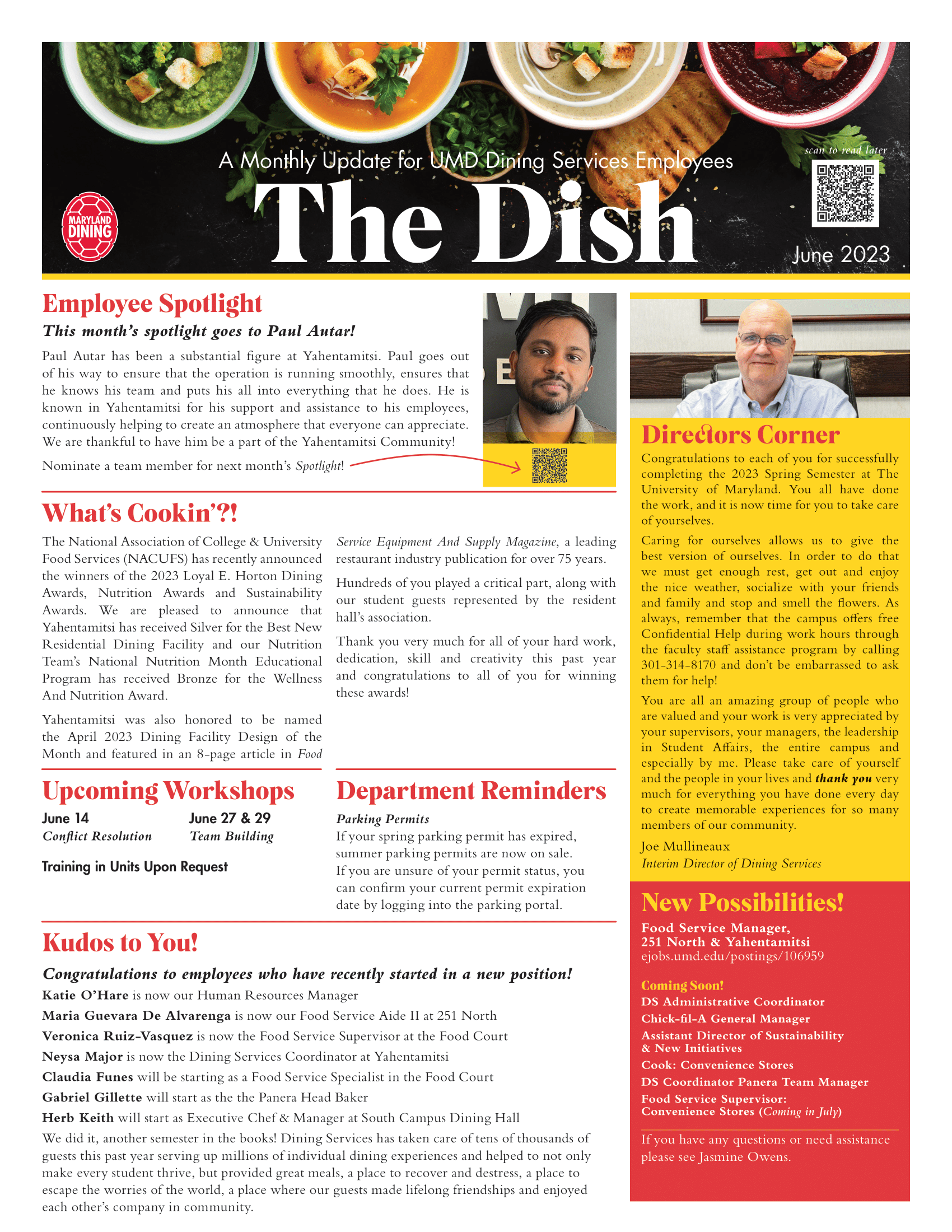 the dish english