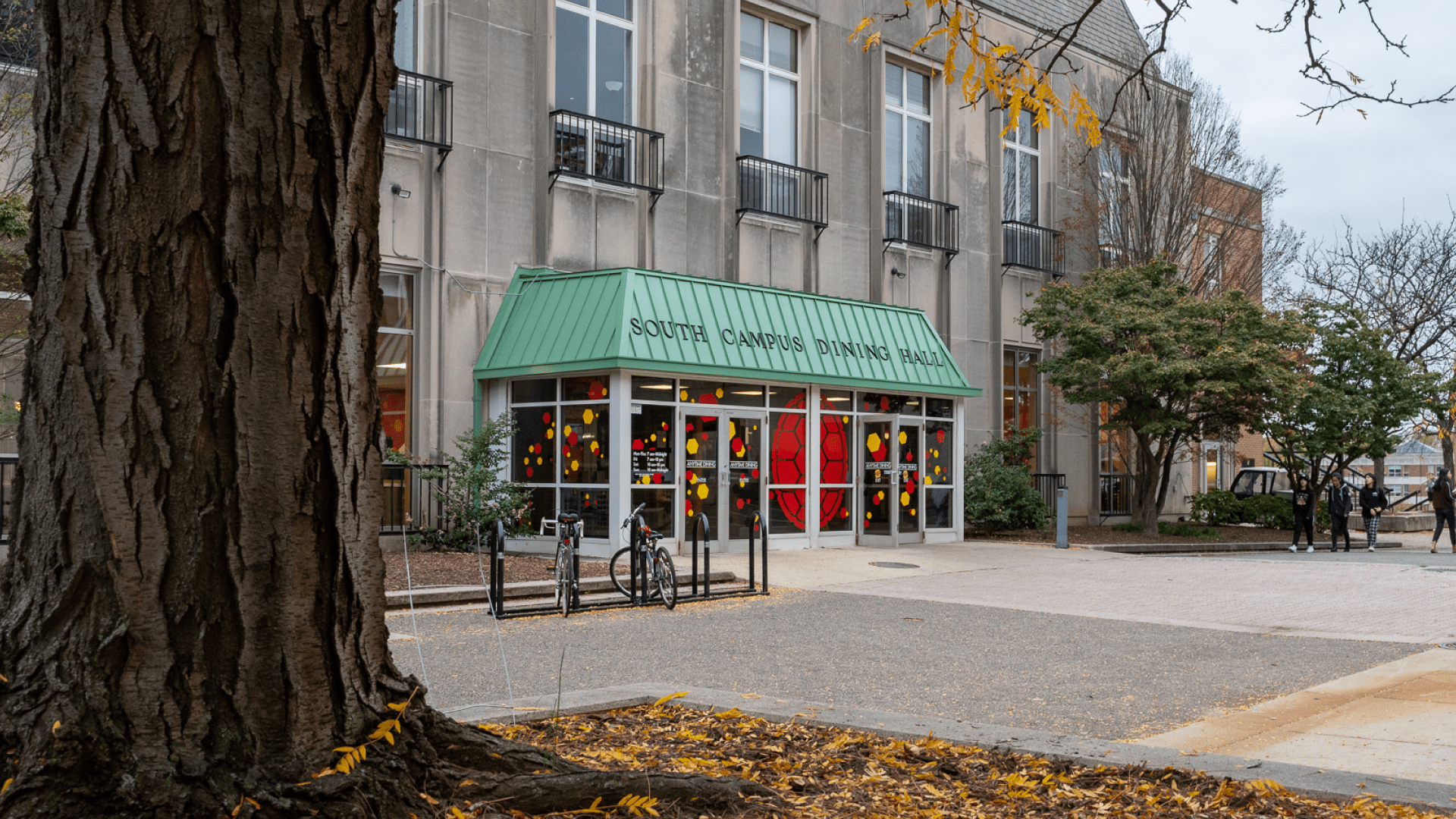 south campus dining hall