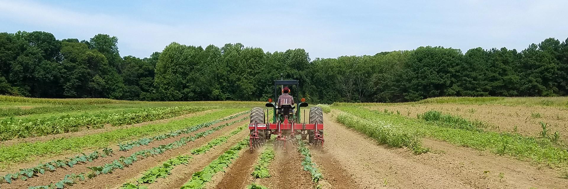 For the Maryland Community | Terp Farm