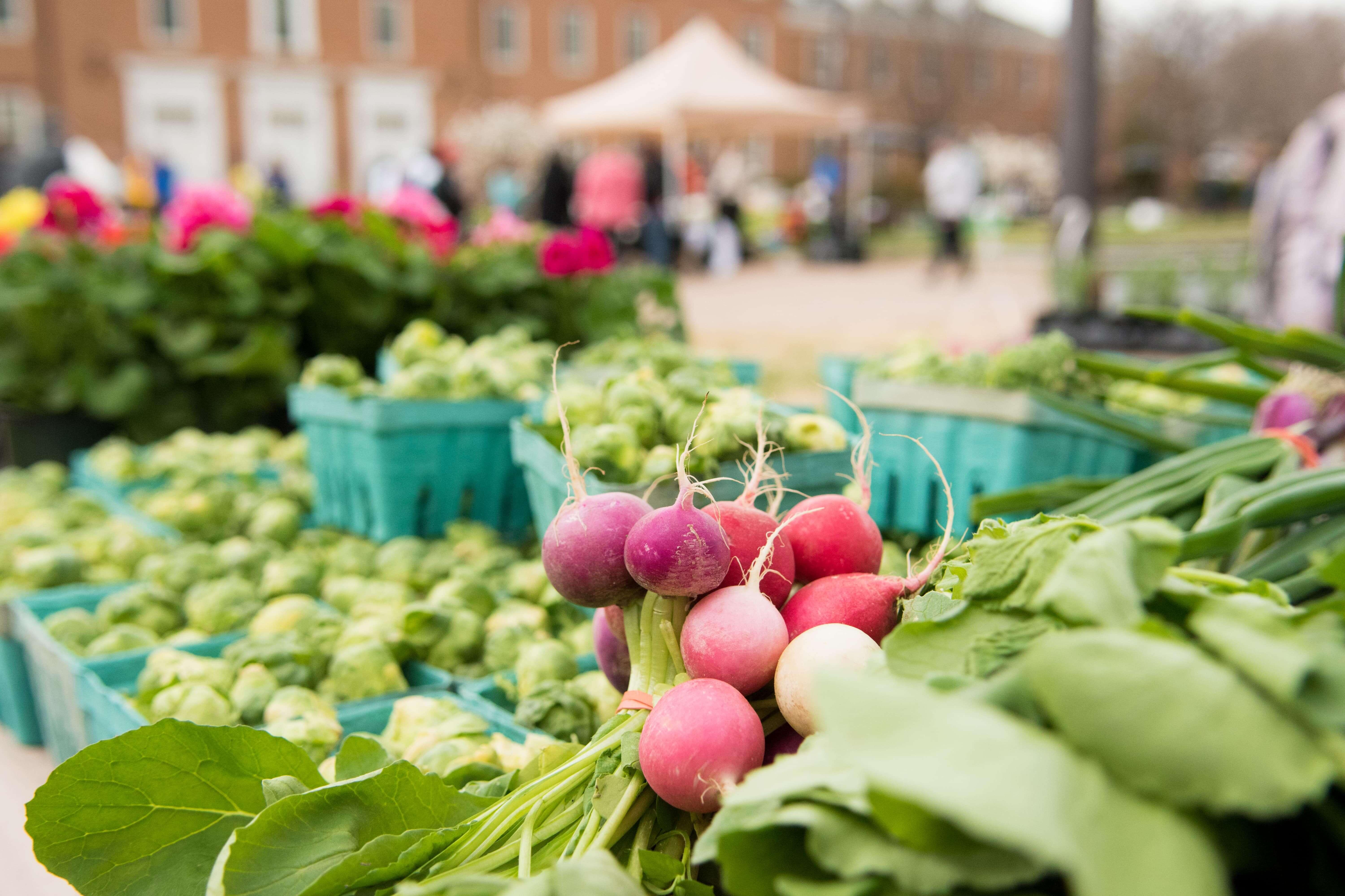 Farmers Market Vegetables