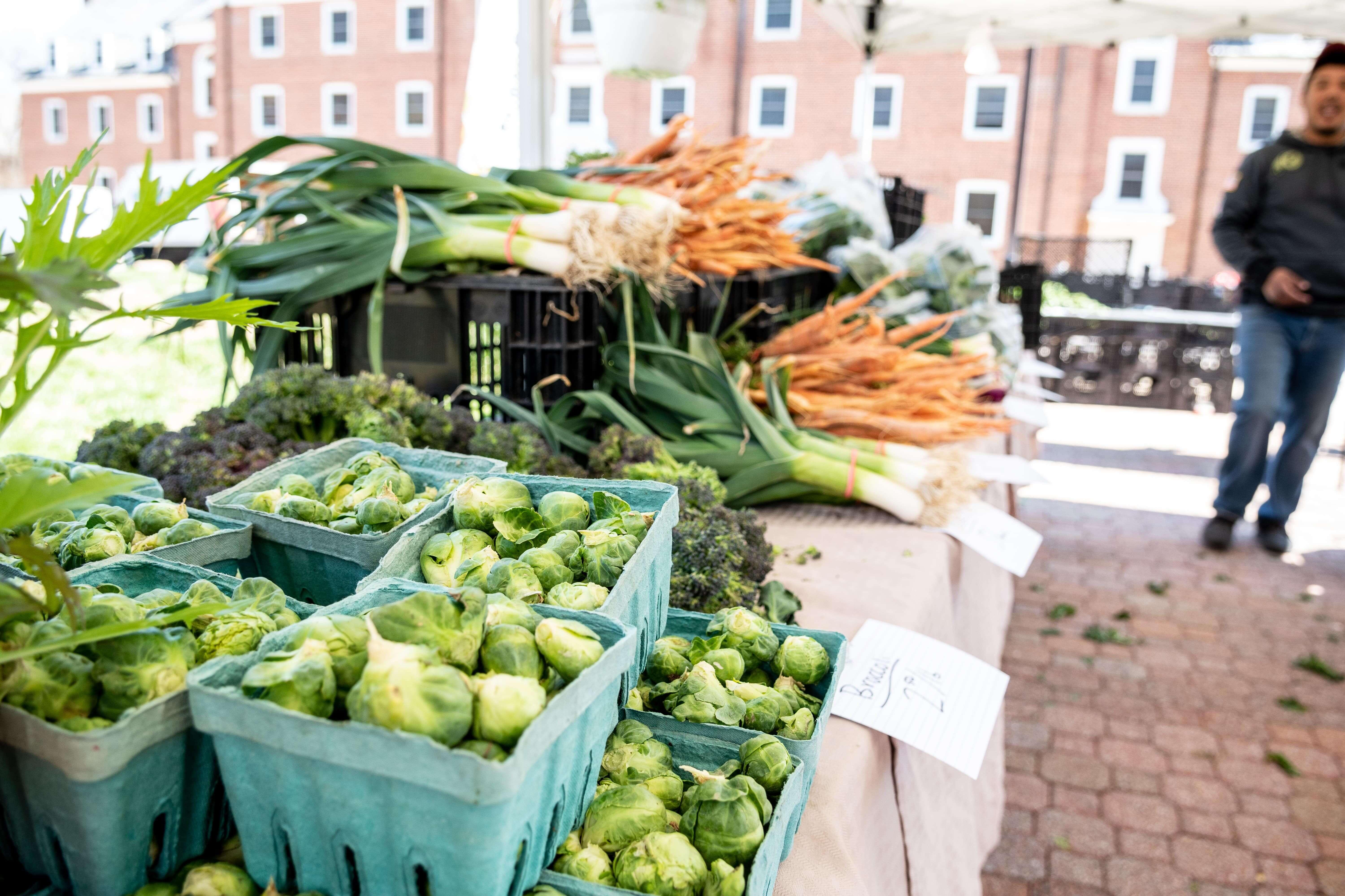 Farmers Market Vegetables