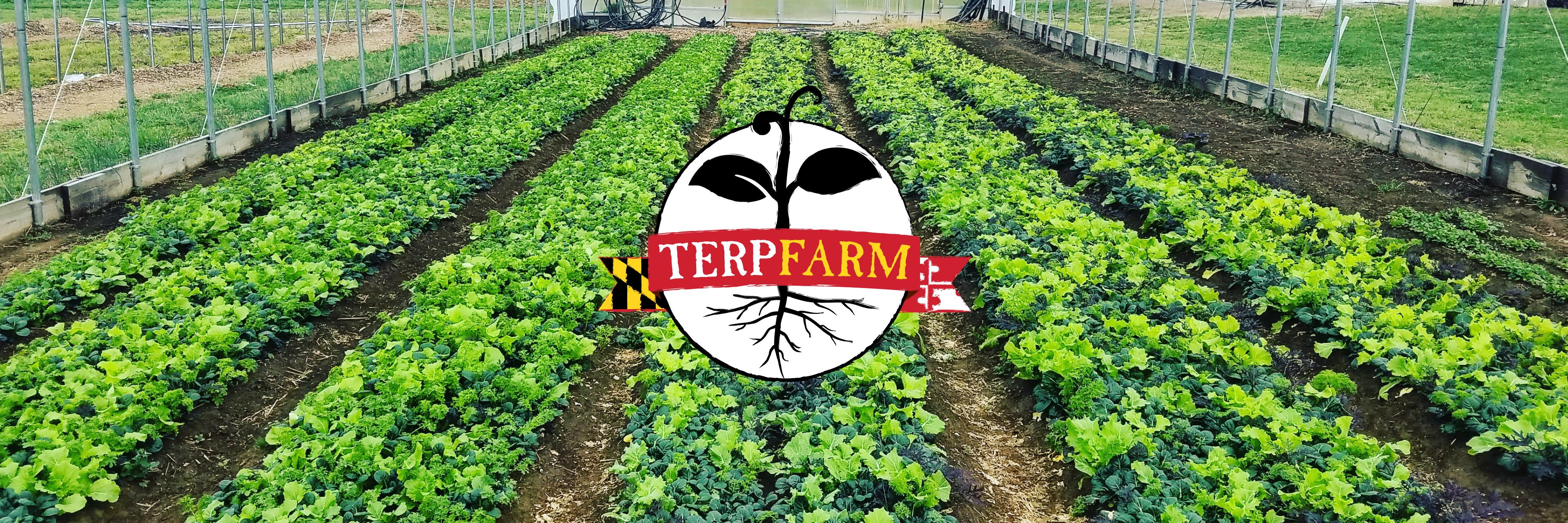 Terp farm behind terp Farm logo