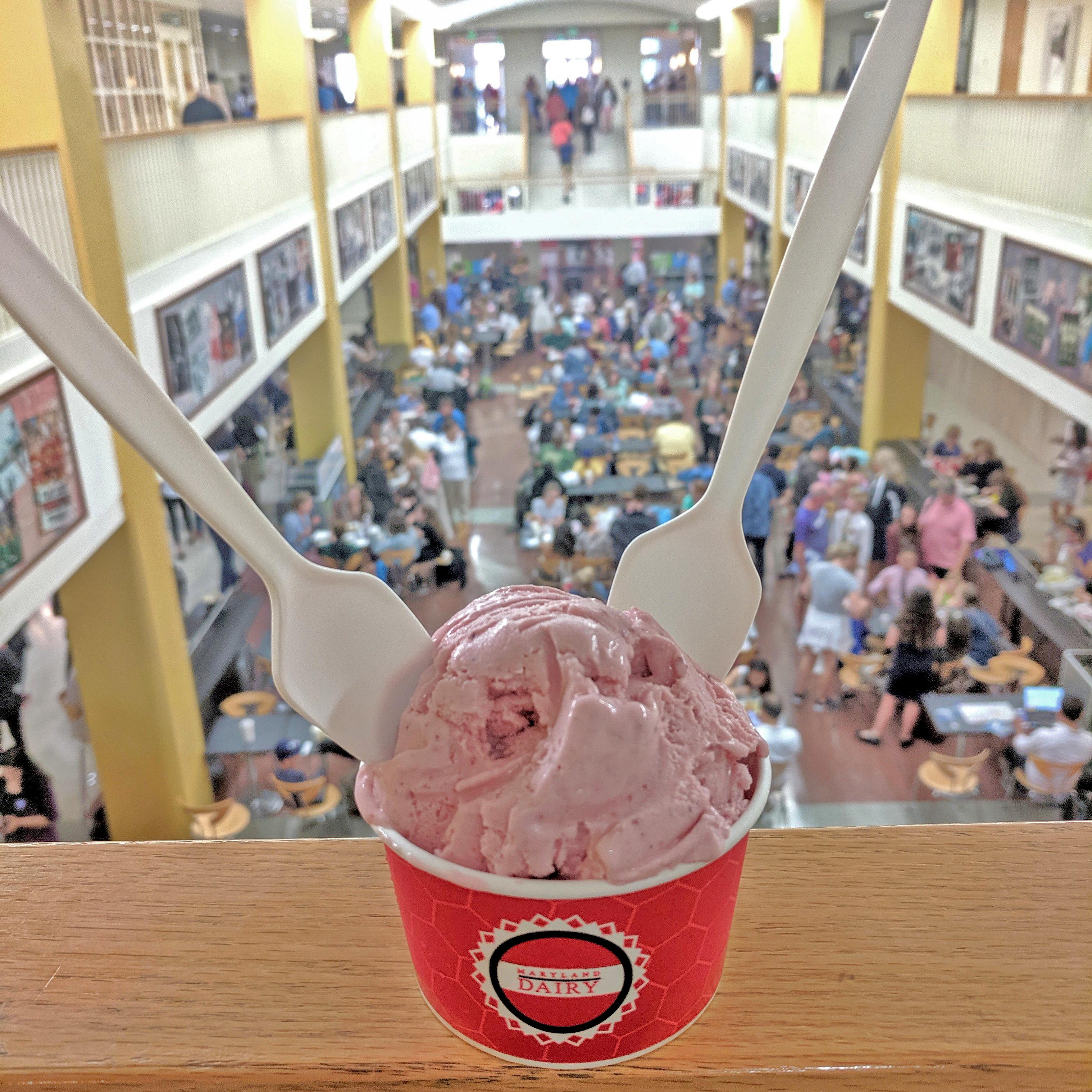 A MD Dairy Ice cream scoop looking over stamp food court