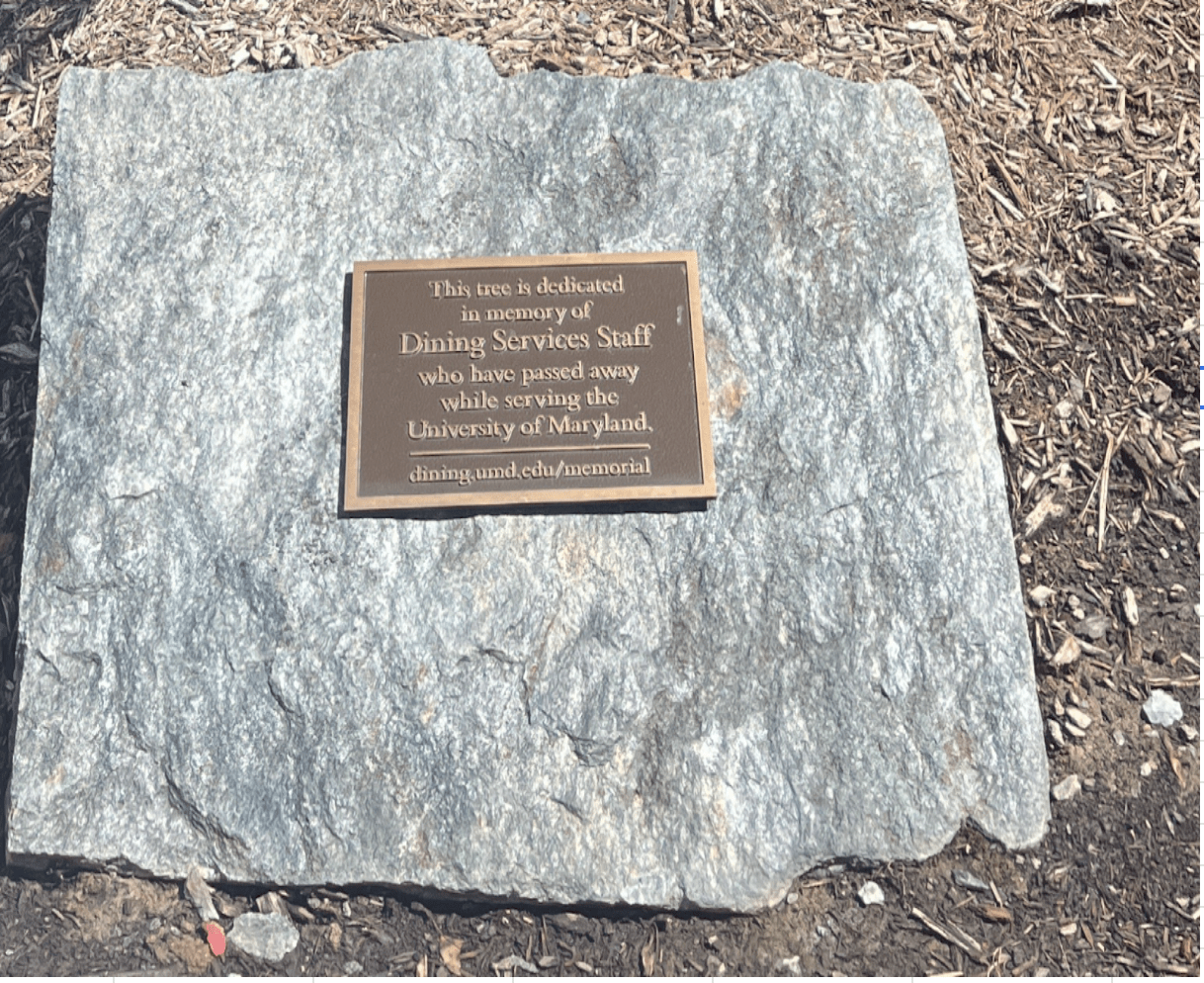 Tree dedicated to staff