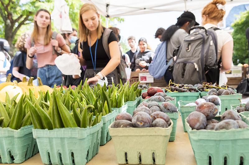 Maryland Community_Web_Farmers Market_20210908_Farmers Market_Opening Day Fall 2021_32_mod.jpg