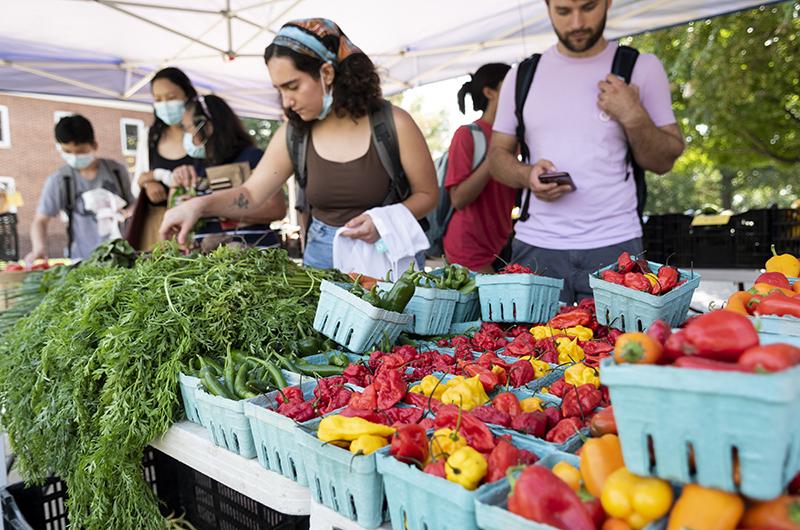 UMD Farmers Market_Other Dining Hours